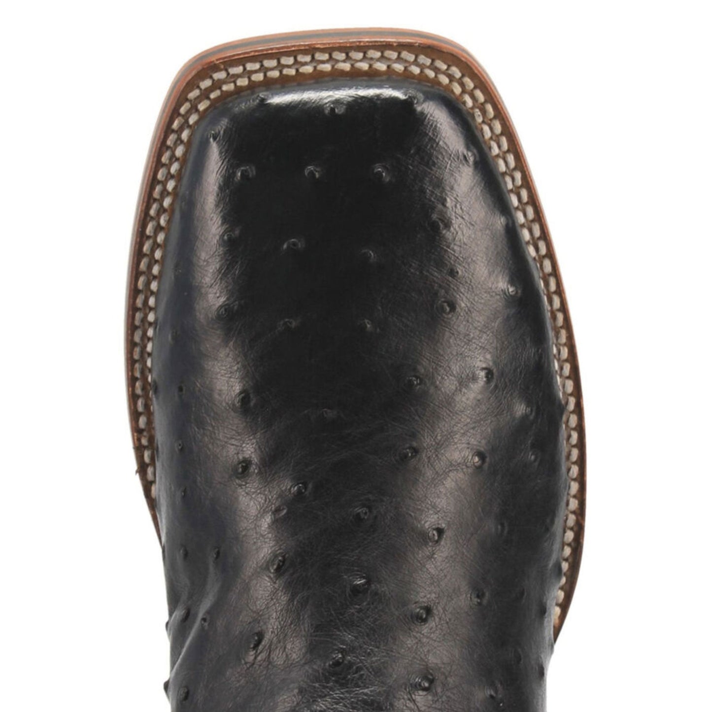 DAN POST Alamosa Black Full Quill Ostrich Western Boots DP4873